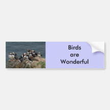 Puffin Convention Bumper Stickers