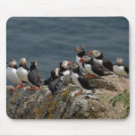Puffin Convention Mouse Pads