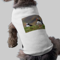 Puffin pet clothing by Welshpixels Puffin pet clothing