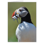 Puffin Fisherman Card Puffin Fisherman Card