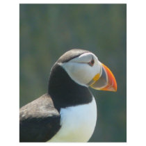 Puffin flyers by seascapeart Puffin flyers