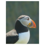Puffin flyers