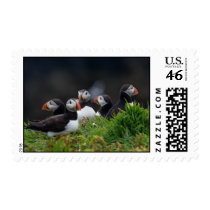 Puffin Gang postage