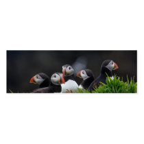 Puffin Gang Profile Card business cards by Welshpixels Puffin Gang Profile Card business cards