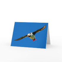 Puffin in Flight