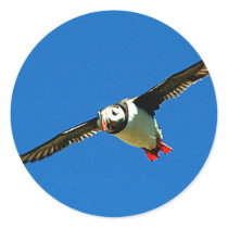 Puffin in flight round sticker
