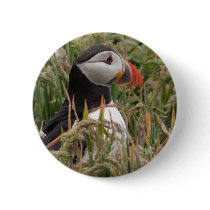 Puffin in Grass Button