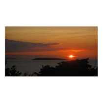 Puffin island posters