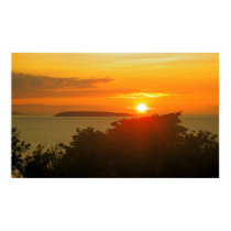 Puffin island posters