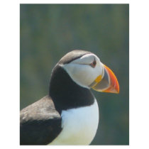 Puffin letterhead by seascapeart Puffin letterhead