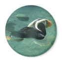 Puffin magnets by durhsp1 Puffin magnets
