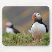 Puffin mousepads by Welshpixels Puffin mousepads