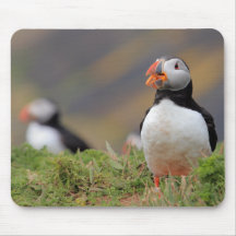 Puffin Mousepads