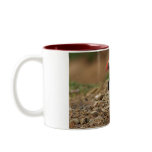 Puffin mug (No. 7)