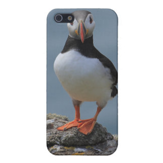 Puffin iPhone Cases, Puffin iPhone 5, 4 & 3 Case/Cover Designs