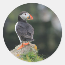 Puffin on a Rock Stickers