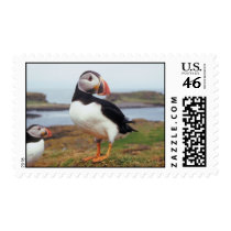 Puffin Perched postage