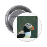 Puffin Pins