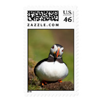 Puffin postage by axel82 Puffin postage