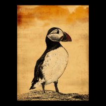Puffin Poster posters