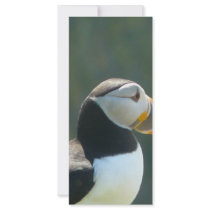 Puffin rack cards by seascapeart Puffin rack cards