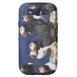 Puffin-tastic Galaxy SIII Covers