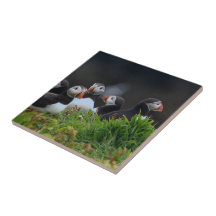 Puffin Tile
