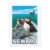 puffins, cruise, ship, seward, alaska, original,