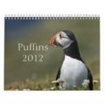 Puffins for 2012 Calendar