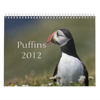 Puffins for 2012 Calendar calendar
