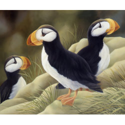 Puffins mousepad