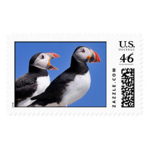 Puffins postage stamps stamps