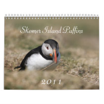 Puffins - Skomer Island 2011 Calendar