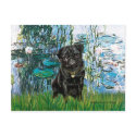 Pug 13 (black) - Lilies 1 postcards