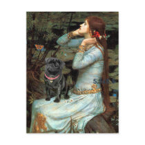 Pug 14 (black) - Ophelia Seated postcards