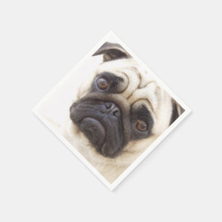 pug standard pug paper napkins pug disposable napkins zazzle pug standard pug paper napkins pug disposable napkins zazzle