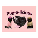 Pug-A-Licious Post Cards