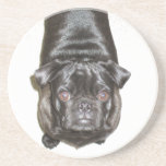 Pug-a-licious Pug dog Coaster