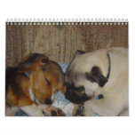 Pug and Beagle Calender calendars