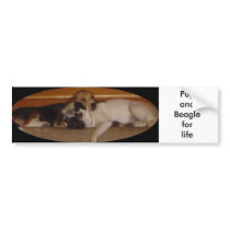 Pug and beagle for life bumper sticker bumper stickers by pugsandbeagles Pug and beagle for life bumper sticker bumper stickers