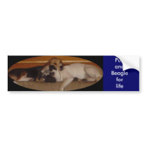 Pug and Beagle for life bumper sticker 4 bumper stickers by pugsandbeagles Pug and Beagle for life bumper sticker 4 bumper stickers