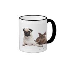 Pug and Burmese cat Mug