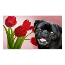 Pug and Tulips Business Card