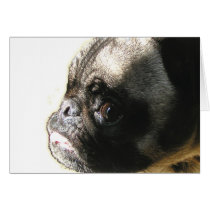 Pug Angel Face cards by PugCentral Pug Angel Face cards