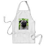 Pug apron
