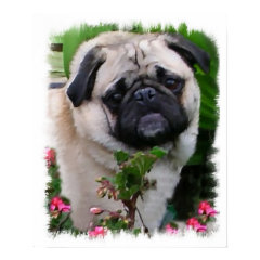 Pug Art Print print