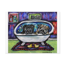 Pug Bathtime Post Cards