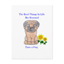 Pug Best Things In Life Postcard