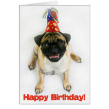 Pug Birthday Card