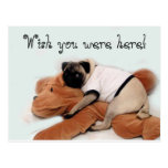 Pug Blues Post Card